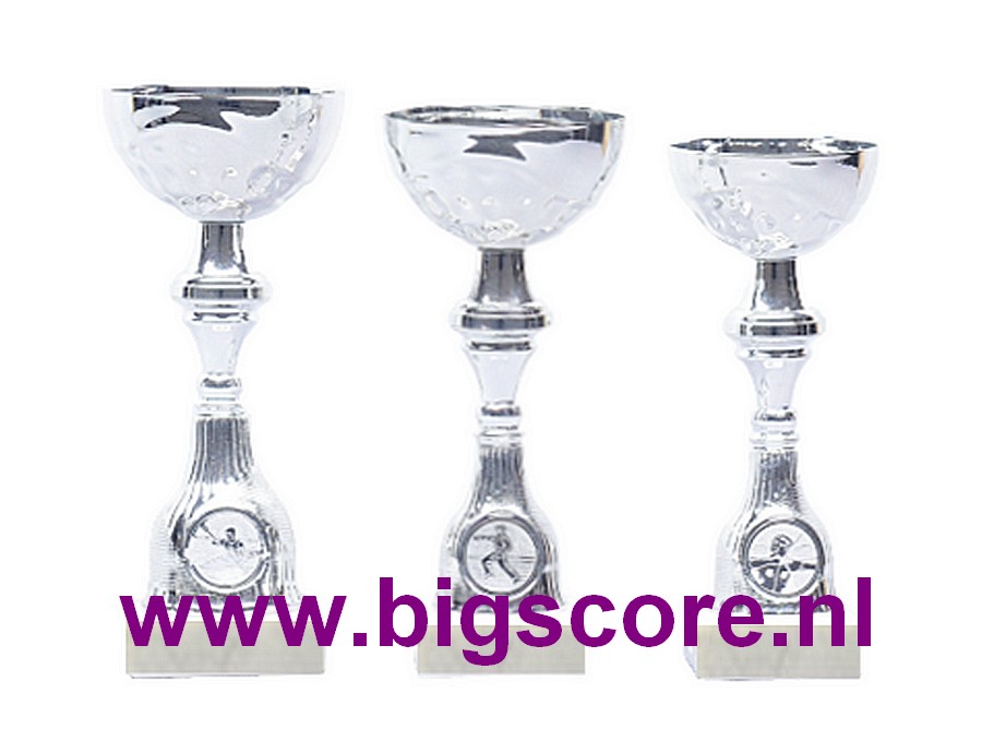 Z542 Beker Zilver
